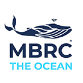 Vinh Nguyen | Teamleiter Shop- & Catalog-Management